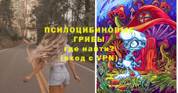 ГАЛЛЮЦИНОГЕННЫЕ ГРИБЫ Бугульма