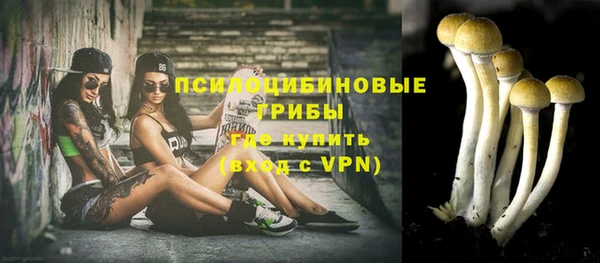 ешки Беломорск