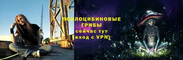 дурь Бородино